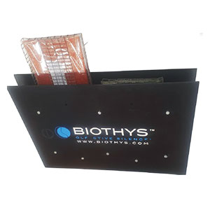 Airforce 1-Biothys